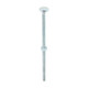 Carriage Bolts & Hex Nuts - Zinc