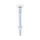 Carriage Bolts & Hex Nuts - Zinc