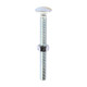 Carriage Bolts & Hex Nuts - Zinc