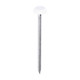 Polymer Headed Nails - A4 Stainless Steel - White