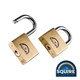 Squire Premium Brass Lion Padlock - Keyed Alike - LN5T - 50mm - Blister Pack of 2