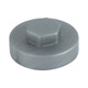 TIMCO Hex Head Cover Caps - Dark Silver - 19mm - Bag of 1000