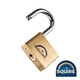Squire Premium Brass Lion Padlock - Stainless Steel Shackle - LN5S - 50mm