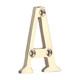 TIMCO Door Letter A - Polished Brass - 60mm