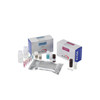 Allergen-Check™ Surface Swabbing Kit Pk 100