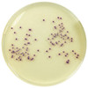 Colorex™ Chromogenic Candida 90mm PP Plates Pk 10