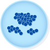 Epower™Staphylococcus aureus sub. aur. from ATCC® 6538™