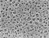 Filters Membrane 1.2um 47mm CA Pk 100