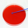 Loops Plastic 10µl Blue