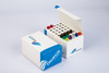 TRUPCR® Influenza Panel Kit Pk 96