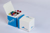 TRUPCR® EBV Real-Time PCR Detection Kit Pk 48