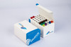 TRUPCR® Magbead Tissue DNA Extraction Kit Pk 100