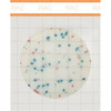 MicroFast™ Yeast & Mold Count Plate Pk 25