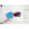 KWIK-STIK™ Staphylococcus sciurisubsp from  ATCC® 29061™ Pk6