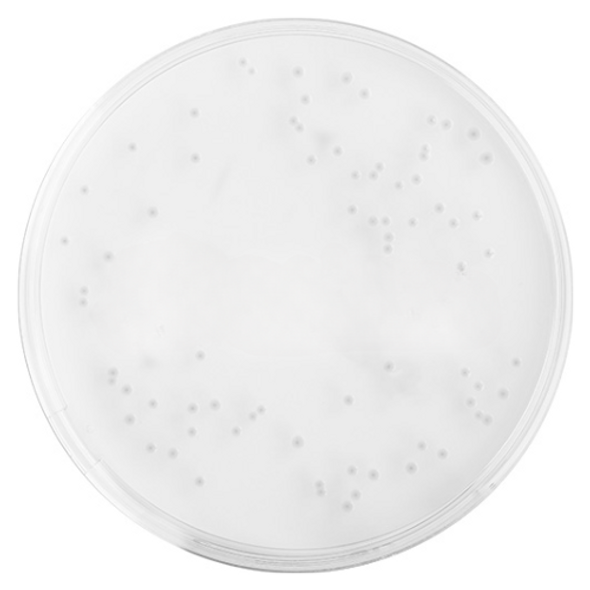 Tryptone Soya Agar (TSA) 90mm PP Plates T/W VHP Irr Pk 10