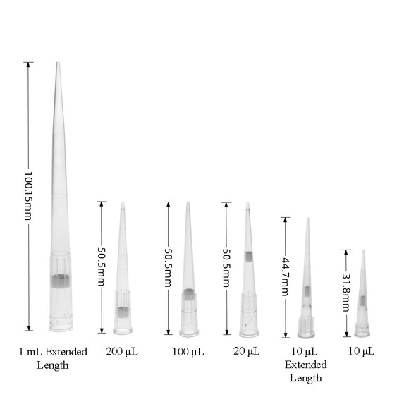 Pipette Tips 1000µl Ext Filtered DNase & RNase Racked Pk 960