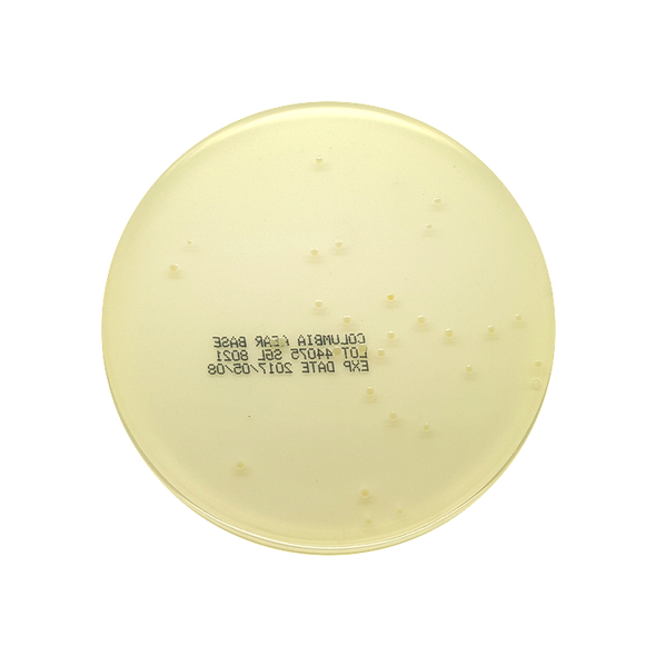 Columbia Agar Base 90mm Pre-Poured Plates Pk 10