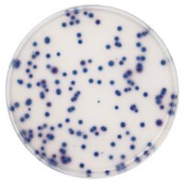 Chromocult Coliform Agar 500g Each