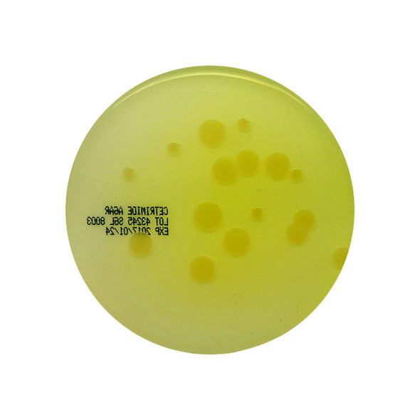 Cetrimide Agar 90mm PP Plates Pk 10