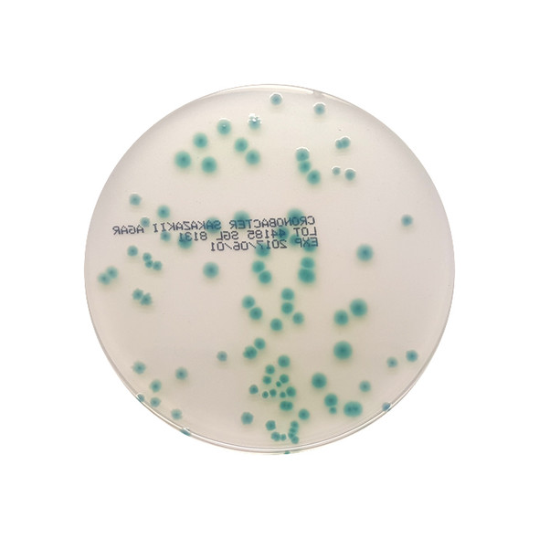 Chromogenic Cronobacter Sakazakii Agar 90mm PP Plates Pk 10
