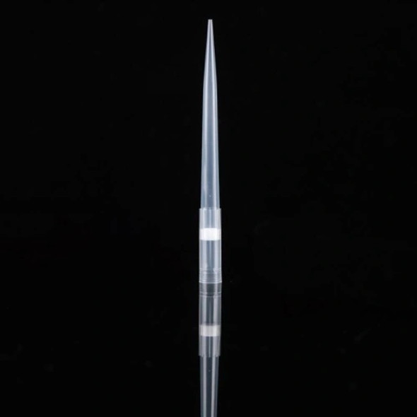 Pipette Tips 1000ul Filtered ST Racked Case 4800