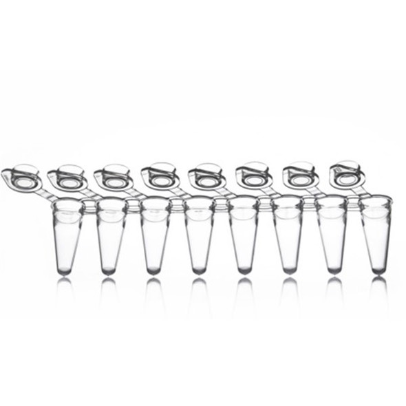 Tubes 0.1ml PCR Strips of 8 PP