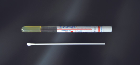 Rayon swab, plastic shaft, selective PCA agar medium Pk 50