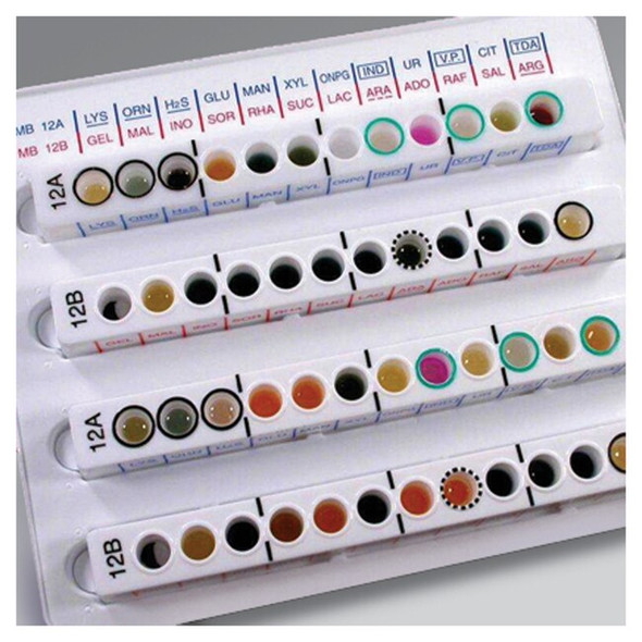 Oxoid™ Microbact™ GNB Set D 6x10ml bottles Each