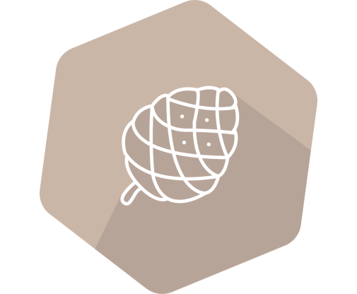 SENSISpec Spike Solution Pine Nut 1000ppm Each