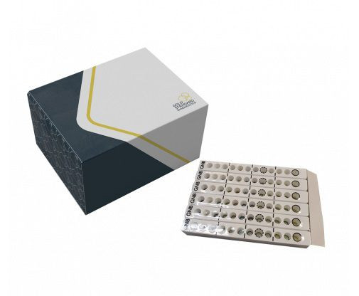 Microgen® GN-ID B Panel 24 Tests