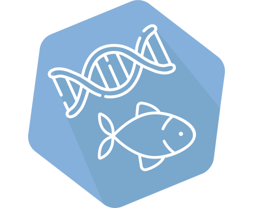 DNAnimal Screen Fish IPC
 Kit for Detection of Fish DNA Each