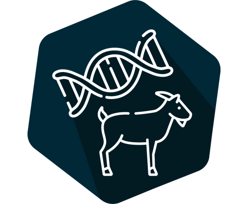 DNAnimal Ident Goat  IPC 
Kit for ID of Goat DNA Each