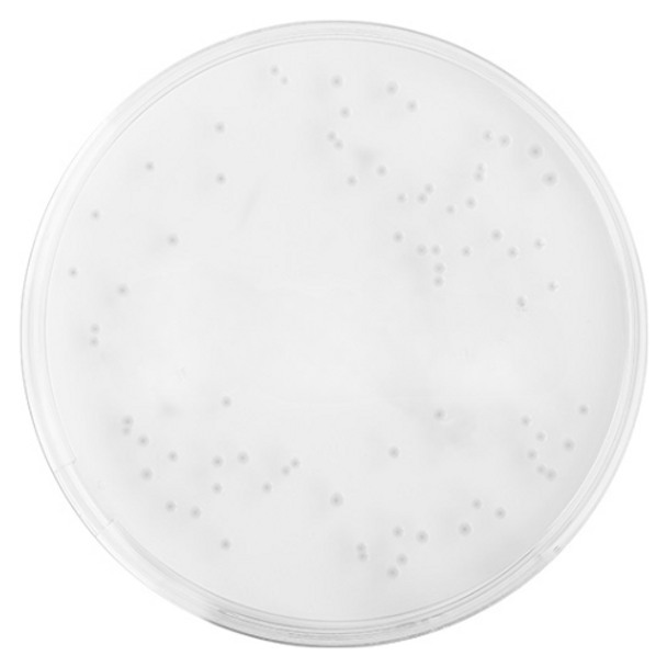 Tryptone Soya Agar (TSA) 90mm PP Plates T/W VHP Irr Pk 10