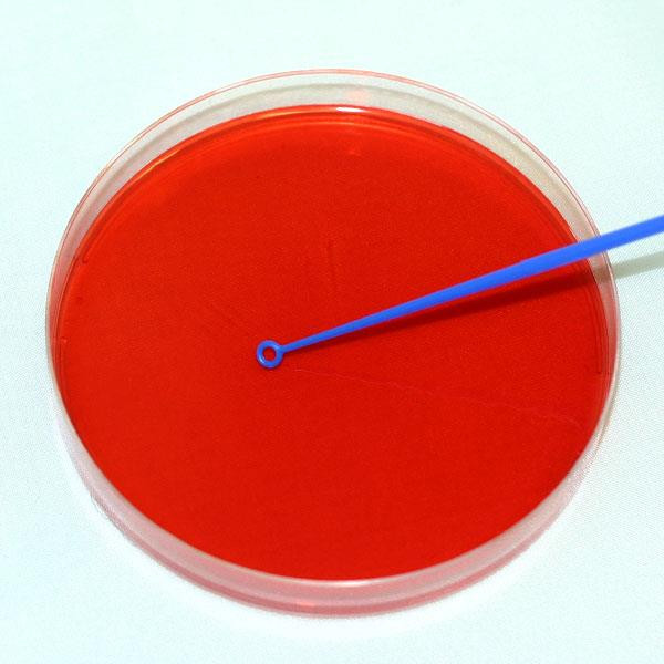 Loops Plastic 5µl Blue Soft Sleeves 20 pk 1000