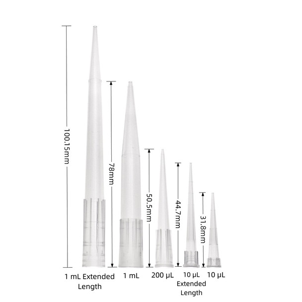 Pipette Tips 200ul W/O Filter ST Racked Pk 960