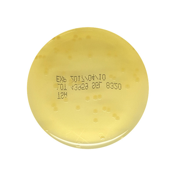 Tryptone Soya Agar (TSA) 55mm Pre-Poured Contact Plates Pk 10