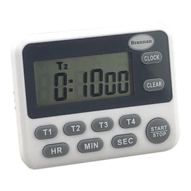 Timer Dual Count Up/Down 24 Hrs With Alarm Each