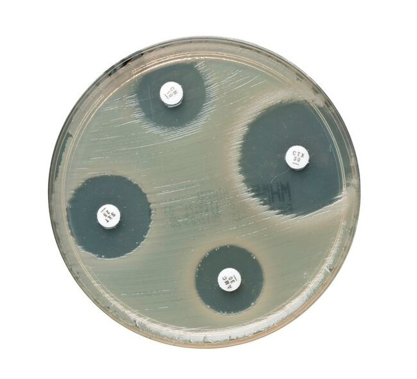 Oxoid™ Enrofloxacin Antimicrobial Susceptibility Disks Pk 50