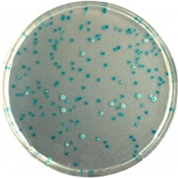 CHROMagar™ E.coli for 5ltr Each