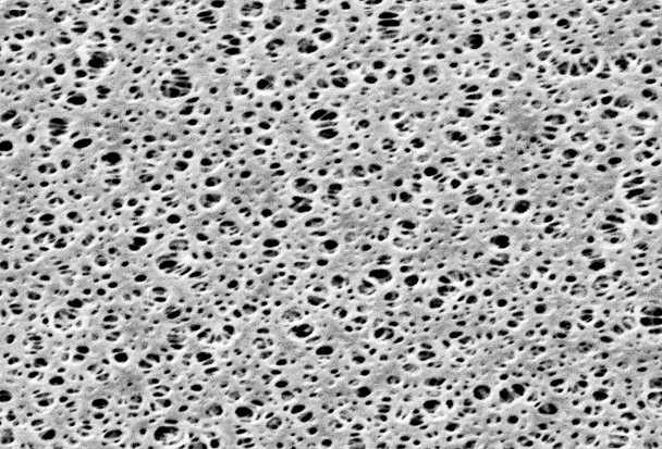 Filters Membrane 0.2um 47mm PES Pk 100