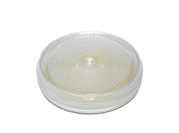 BACTair Tryptic Sot Agar PP Plates 110mm Ind Wrap Pk 10