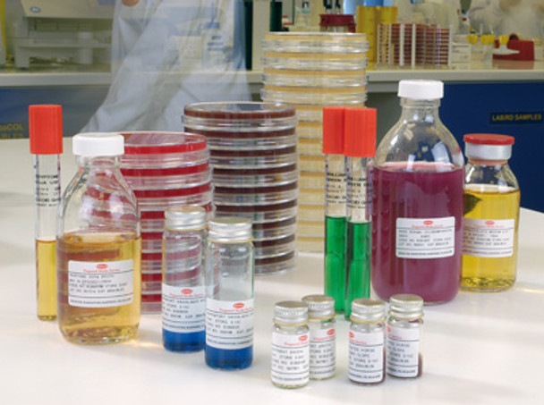 Sabouraud Dextrose Agar (SDA) with Chloramphenicol 90mm Pk10