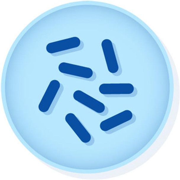 KWIK-STIK™ Bacillus subtilis Subsp from ATCC® 6633™ pk 2