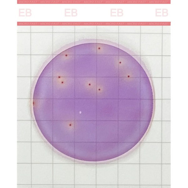 Perkin Elmer count plate