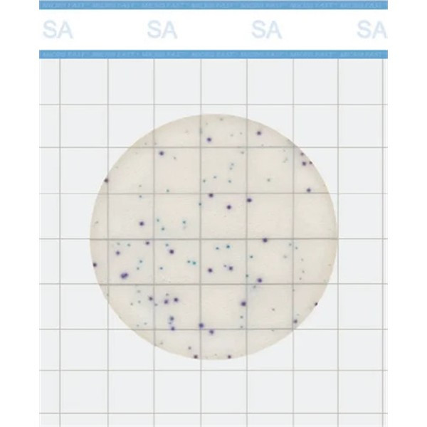 Staph Express Count Plate, Petrifilm, Neogen,
