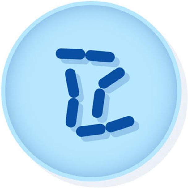 KWIK-STIK™ Lactobacillus rhamnosus derived from ATCC® 9595™