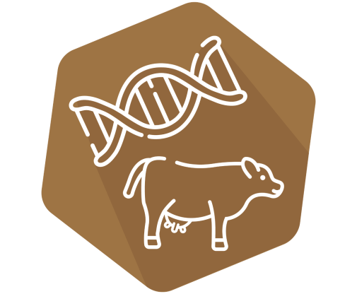 DNAnimal Ident Beef IPC 
Kit for ID of Bovine DNA Each