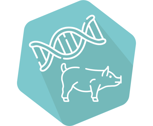 DNAnimal Ident Pork IPC
 Kit for ID of Porcine D Each