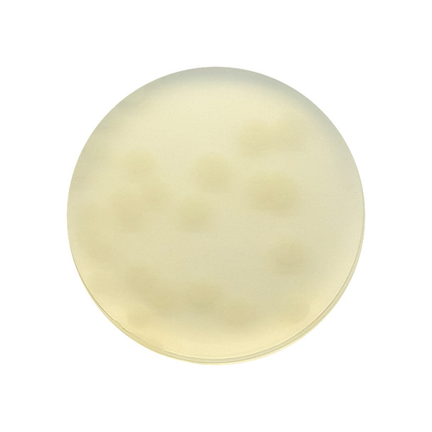 SGS Yeast Extract Agar 55mm