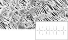 Membrane Filter Hydrophobic PTFE Pk 100